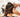 The Evolution of Shampoo Conditioners: A Walk Through History
