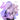 Lilac, violet, purple...All equally captivating and romantic shades,