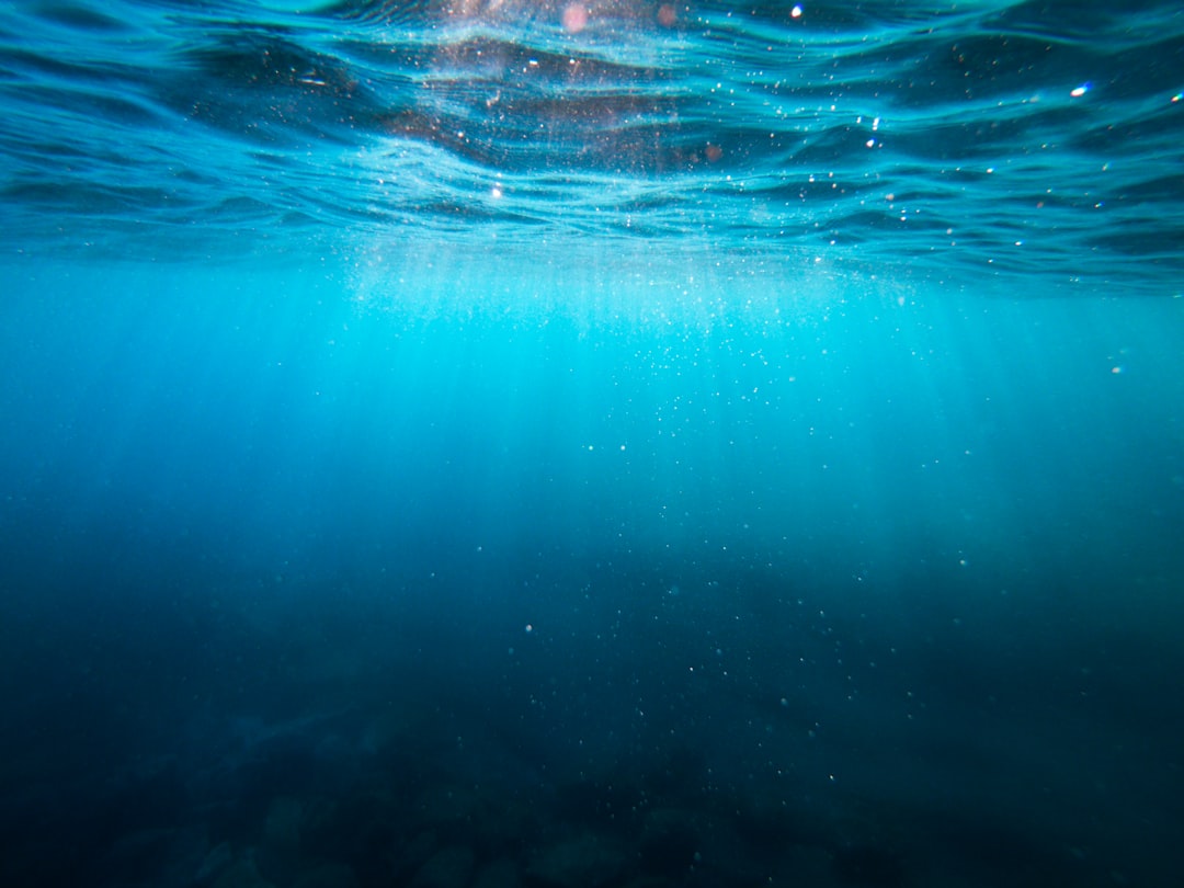 The Environmental Impact of Shampoo Conditioner Ingredients