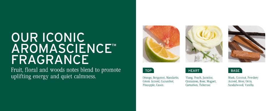 Biolage Color Last Shampoo & Conditioner 400ml Duo