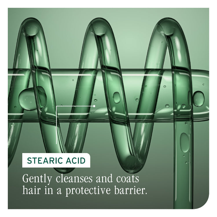 Biolage Color Last Shampoo & Conditioner 400ml Duo