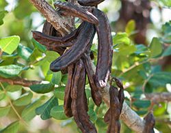 rpr extend my colour shampoo and Conditioner 300ml Duo for Hydration, Shine & Vibrant Lasting Colour - On Line Hair Depot