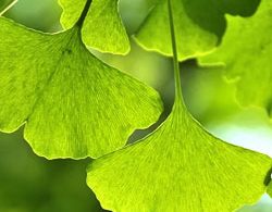 RPR De-Chlorinate My Hair Duo Deep Cleansing removes Chlorine & Product Build Up - On Line Hair Depot