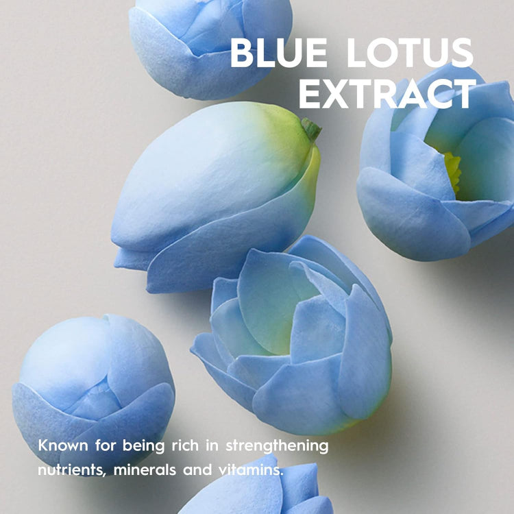 Kerasilk Volumizing Shampoo Bodified Full