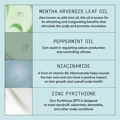Nioxin Scalp Recovery Kit for Itchy Flaky Scalp - On Line Hair Depot