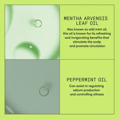 Nioxin System 2 Duo 1000ml of Each for Natural Hair with Progressed Thinning - On Line Hair Depot