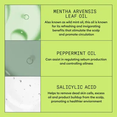 Nioxin System 2 Duo 1000ml of Each for Natural Hair with Progressed Thinning - On Line Hair Depot