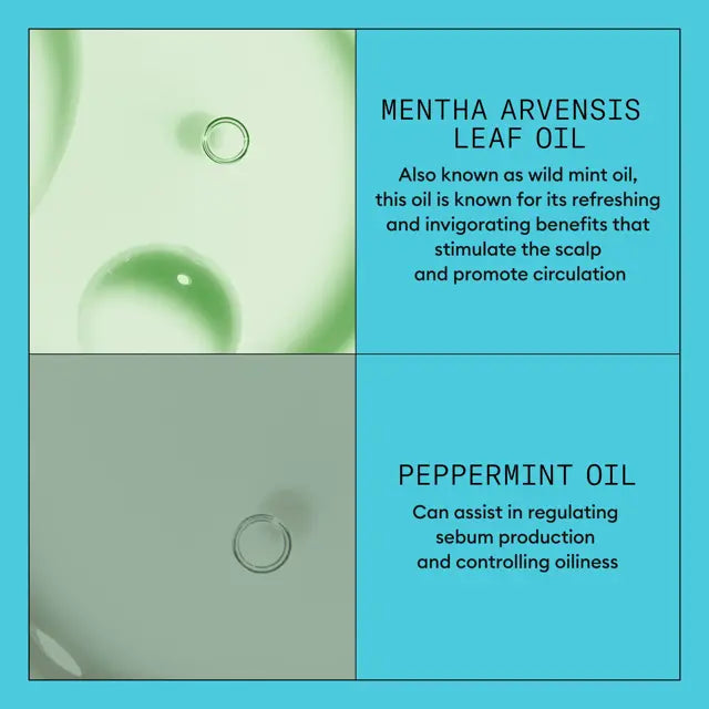 Nioxin System 3 Key Ingredients