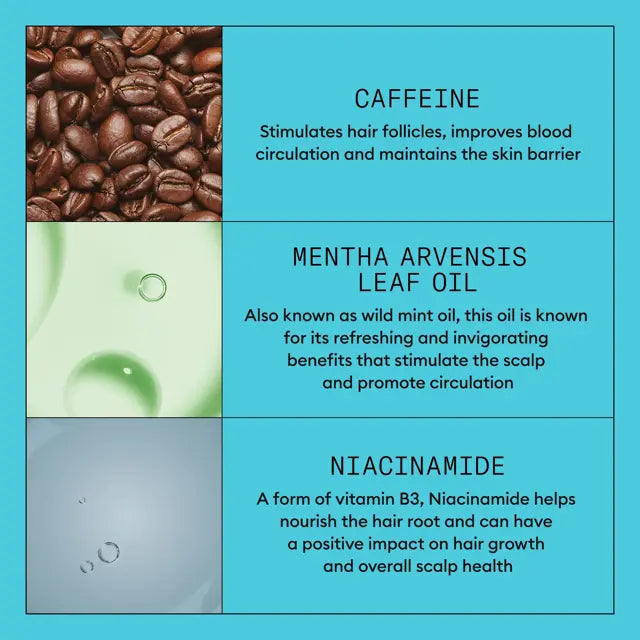 Nioxin System 3 Leave In Treatment Ingredients