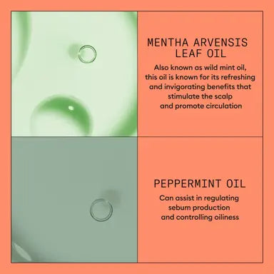 Nioxin System 4 Starter Kit for colored hair with progressed thinning - On Line Hair Depot