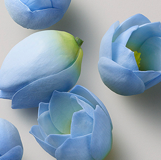 Kerasilk Volumizing Shampoo Bodified Full