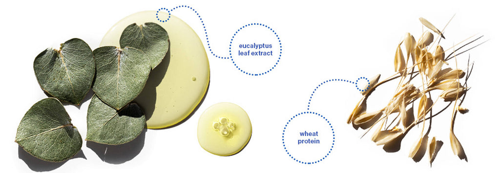 Pureology Hydrate Sheer 250ml Duo hydrates fine dry, color-treated hair - On Line Hair Depot