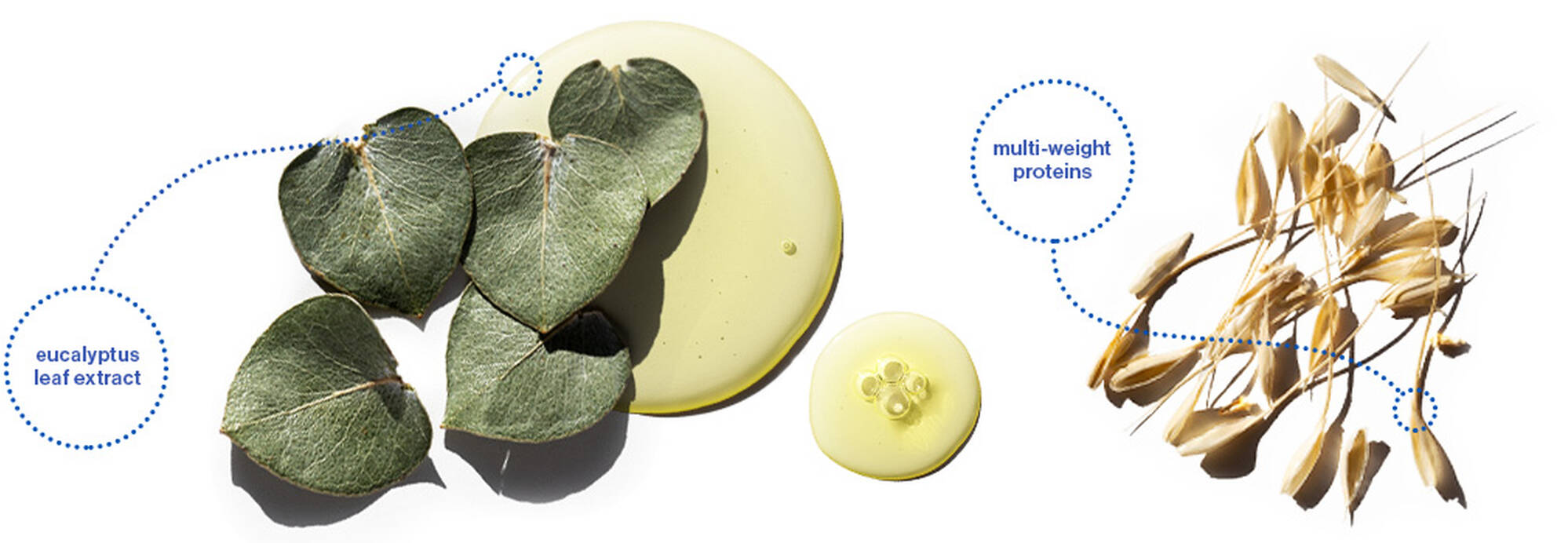 Pureology Pure Volume Conditioner 1lt - On Line Hair Depot