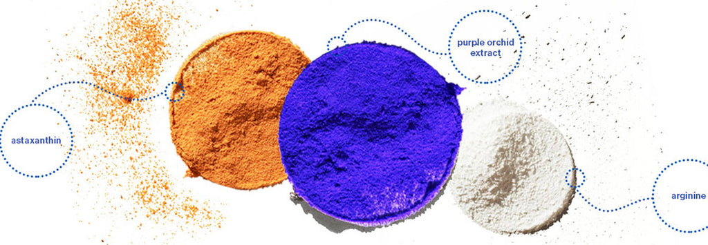 Pureology Strength Cure Blonde Conditioner 1lt purple tones Blonde & strengthens - On Line Hair Depot