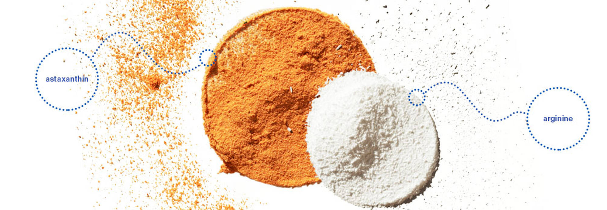 Pureology Strength Cure Shampoo 250ml Duo fortifies & repair damaged hair - On Line Hair Depot