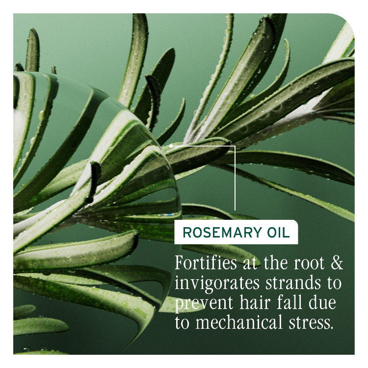 Biolage Full Rescue Conditioner - On Line Hair Depot