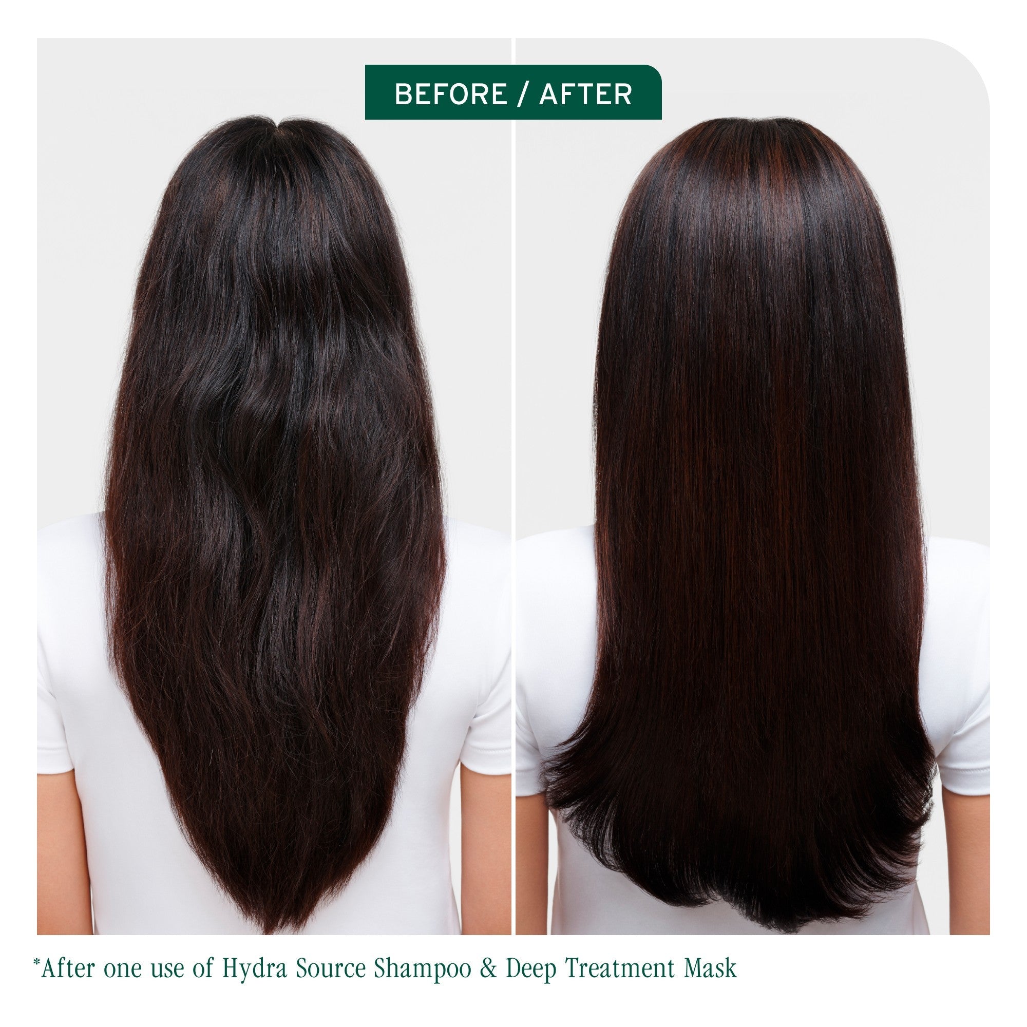 Biolage Hydrasource Shampoo & Detangling DUO - On Line Hair Depot