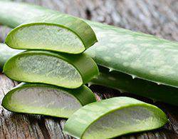 rpr brighten my blonde shampoo Purple Toning Illuminates Blonde Grey & Highlights - On Line Hair Depot